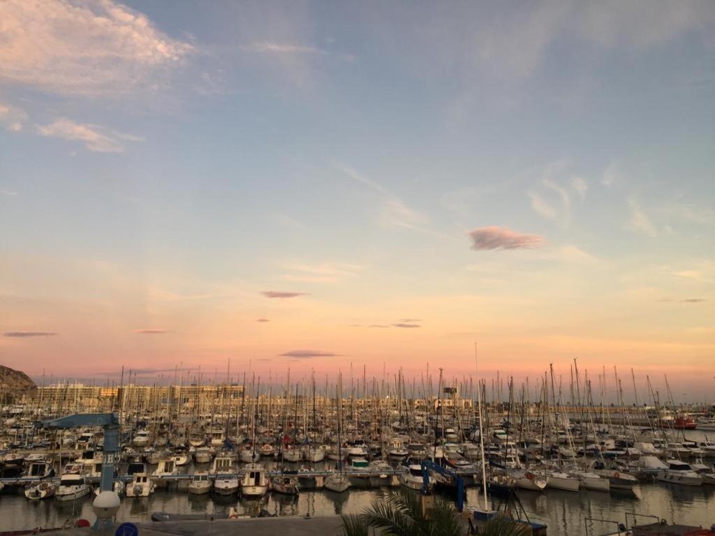 Centrally-Located, Spacious Flat At Historic Centre & Short Walk To Beach Alicante Eksteriør billede